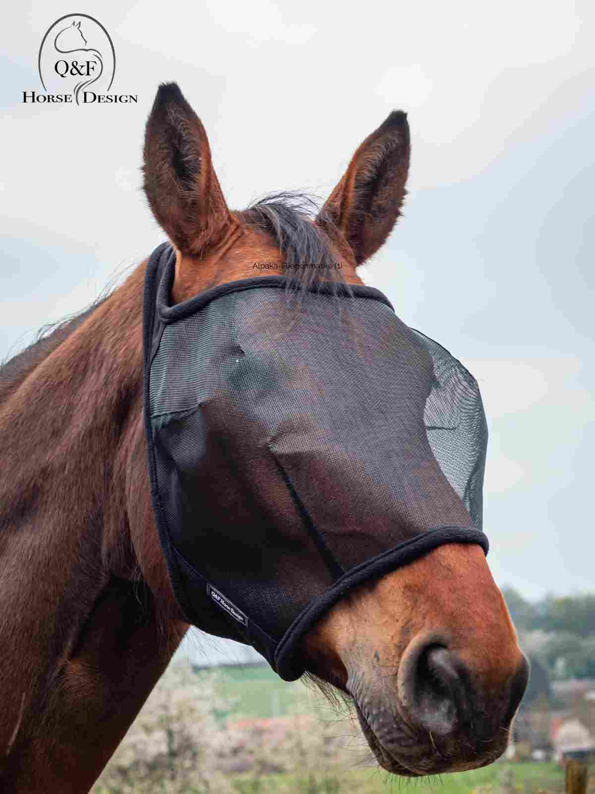 Fliegenmaske – Bild 2