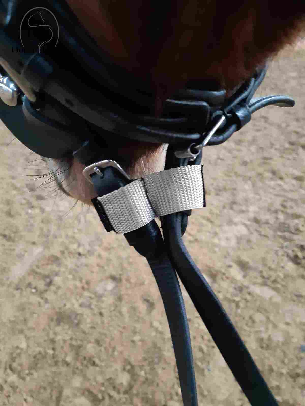 Führhilfe – Bild 2