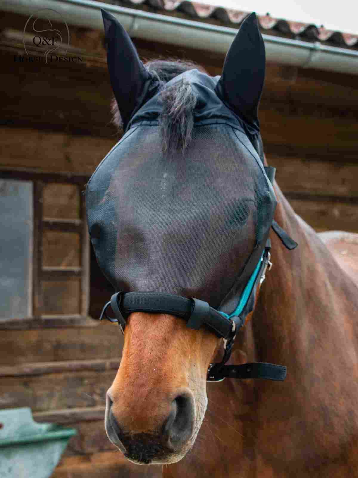 Halftermaske mit Ohren – Bild 2