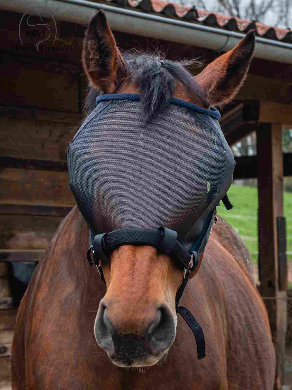 Halftermaske – Bild 2