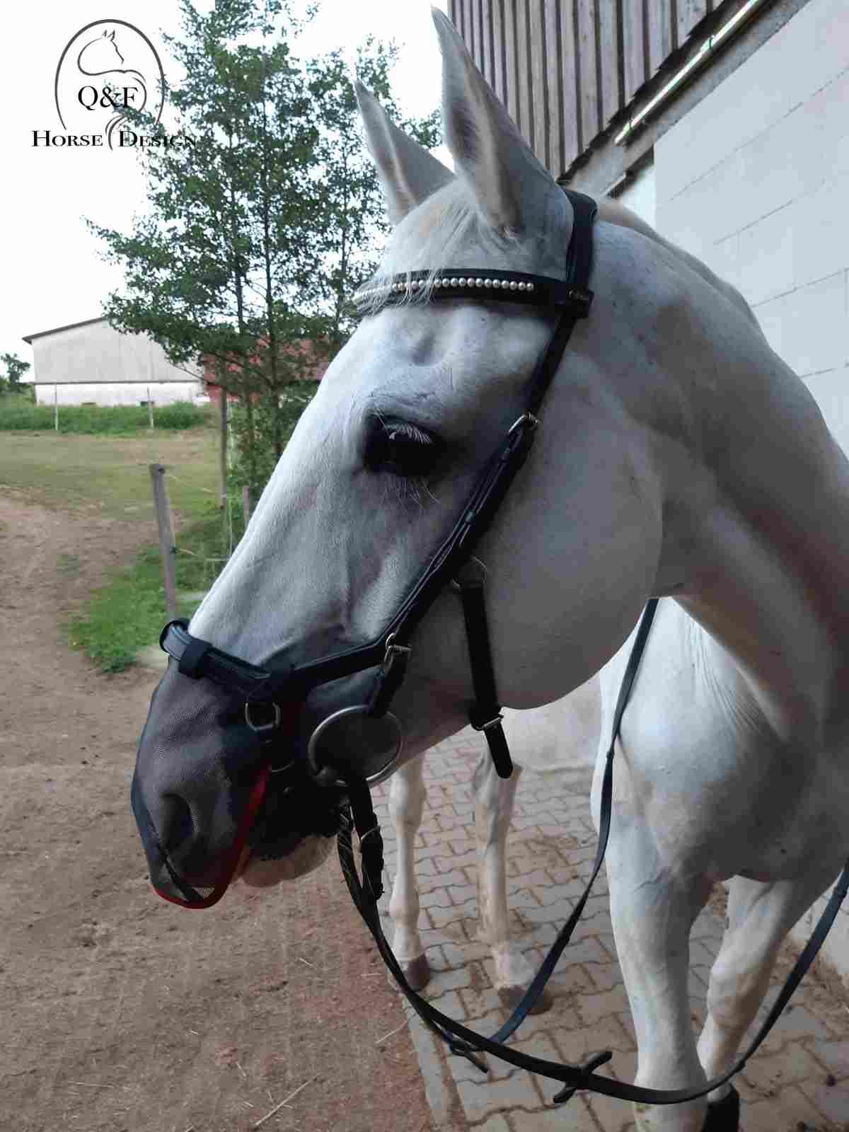 Headshakernetz – Bild 5